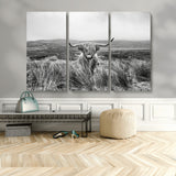 24051061-MGV-CV-36X24-Monochrome Highland Cow Wall Art Canvas Print, Framed Scottish Bull Art Picture Print, Lone Cattle Perfect Rustic Farmhouse Decor