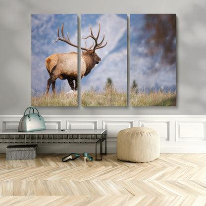 26365841-MGV-CV-36X24-Mountain Elk Art Wall Art Canvas Print, Framed Rustic Wildlife Print Art Picture Print, Lodge Style Decor Perfect Rustic Lodge