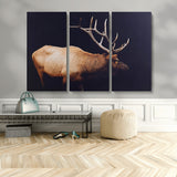 89239257-MGV-CV-48X32-3P-Bull Elk Decor Wall Art Canvas Print, Framed Elk Photography Art Picture Print, Rustic Wildlife Perfect Rustic Lodge Decor Artwork