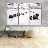 13891210-MGV-CV-48X32-3P-Bison Herd Scene Wall Art Canvas Print, Framed Western Wildlife Decor Art Picture Print, Snowy Mountain Valley Perfect Rustic