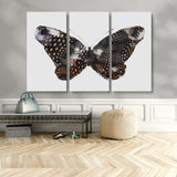 99831147-MGV-CV-36X24-Spotted Butterfly Wall Art Canvas Print, Framed Neutral Insect Theme Art Picture Print, Earthy Wing Pattern Perfect Modern Rustic