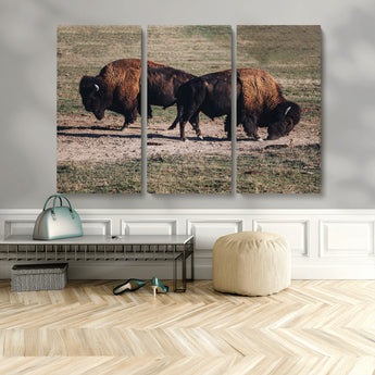 58141885-MGV-CV-36X24-Bison Photography Wall Art Canvas Print, Framed Western Wildlife Art Picture Print, Modern Ranch Perfect Western Rustic Decor