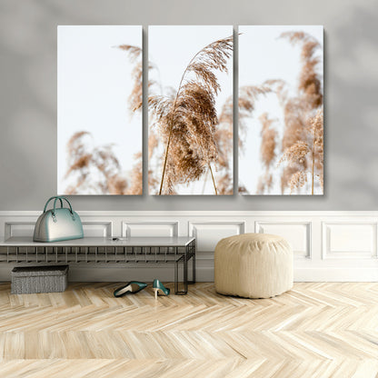 17019393-MGV-CV-36X24-Pampas Grass Wall Art Canvas Print, Framed Neutral Tones Art Picture Print, Minimalist Nature Perfect Boho Minimalist Decor