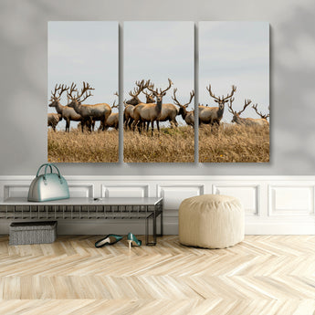 42170220-MGV-CV-48X32-3P-Elk Herd Wall Art Canvas Print, Framed Wildlife Photography Art Picture Print, Majestic Antlers Perfect Rustic Wildlife Decor