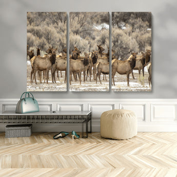 93076148-MGV-CV-36X24-Elk Herd Wall Art – Wildlife Canvas Print of Elk in Winter Landscape, Rustic Western Cabin & Lodge Décor, Nature Photography for