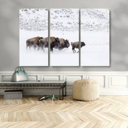 61161423-MGV-CV-48X32-3P-Running Bison Herd Wall Art – Winter Buffalo Canvas Print, Wildlife Photography Decor for Rustic Living Room, Farmhouse, Lodge,