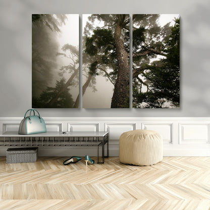87969493-MGV-CV-48X32-3P-Forest Wall Art – Misty Tall Trees Canvas Print, Dramatic Woodland Photography Decor for Bedroom, Living Room, Office, Cabin,