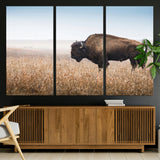 99620201-MGV-CV-36X24-Wild Bison Wall Art Canvas Print, Framed Bison in Prairie Art Picture Print, Rustic Western Perfect Rustic Western Decor Artwork