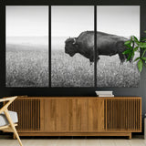 28435251-MGV-CV-36X24-Bison In Prairie Wall Art Canvas Print, Framed Rustic Wildlife Art Picture Print, Wild Buffalo Perfect Rustic Western Decor