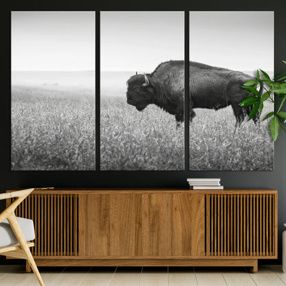 28435251-MGV-CV-36X24-Bison In Prairie Wall Art Canvas Print, Framed Rustic Wildlife Art Picture Print, Wild Buffalo Perfect Rustic Western Decor
