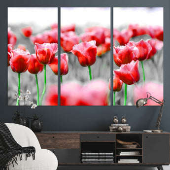44554-MGV-CV-36X24-Vibrant red tulips stand out beautifully against a black-and-white background, making a striking decor piece perfect for any home