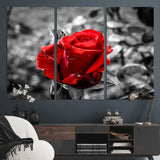 84671-MGV-CV-36X24-Red Rose Wall Art – Vibrant Single Bloom Canvas Print with Black and White Background, Elegant Floral Decor for Living Room,