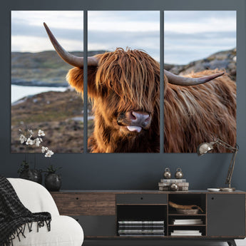 71222-MGV-CV-36X24-A playful Highland cow with shaggy fur sticks out its tongue, set against a rugged landscape — perfect for quirky home or office