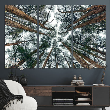 18790-MGV-CV-48X32-3P-Pine Canopy Wall Art – Panoramic View of Towering Pines Canvas Print, Nature-Inspired Decor for Office, Cabin or Living Room