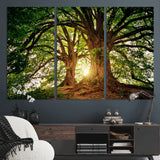 52150-MGV-CV-36X24-Majestic Tree Wall Art – Large Nature Canvas Print with Sunlight Through Branches, Rustic Forest Decor for Living Room, Bedroom or