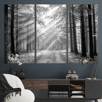 39665-MGV-CV-36X24-Black and White Forest Path Wall Art – Sunlight Rays in Trees Canvas Print, Nature Landscape Decor for Living Room