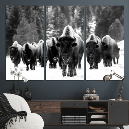 62434-MGV-CV-36X24-Bison Herd Wall Art – Majestic Black and White Buffalo Canvas Print, Wildlife Nature Photography Decor for Living Room, Office or