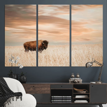 99699-MGV-CV-36X24-Bison in Prairie at Sunset – Wildlife Photography Print, American Buffalo Wall Art, Nature Landscape Canvas Decor for Office