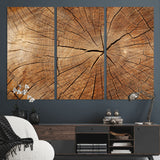 61710-MGV-CV-36X24-Tree Rings Wall Art – Rustic Wood Grain Canvas Print of Tree Trunk Cross Section, Nature Inspired Decor for Cabin, Office, Living