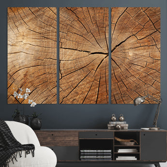61710-MGV-CV-36X24-Tree Rings Wall Art – Rustic Wood Grain Canvas Print of Tree Trunk Cross Section, Nature Inspired Decor for Cabin, Office, Living