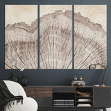 67528-MGV-CV-36X24-Wood Ring Wall Art Canvas Print, Framed Tree Ring Art Picture Print, Rustic Tree Ring Perfect Neutral Boho Decor Artwork