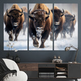 80512-MGV-CV-36X24-Bison Herd Wall Art – Buffalo Running in Snow Canvas Print, Rustic Wildlife Photography Decor for Cabin, Lodge, or Living Room