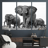 91685-MGV-CV-36X24-Elephant Herd Wall Art – Black and White Safari Canvas Print, African Wildlife Photography Decor for Living Room, Office or