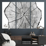 98709-MGV-CV-36X24-Tree Ring Wall Art – Black and White Canvas Print Rustic Wood Cross Section, Minimal Nature Inspired Decor for Living Room,