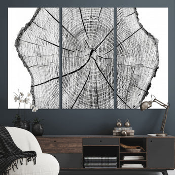 98709-MGV-CV-36X24-Tree Ring Wall Art – Black and White Canvas Print Rustic Wood Cross Section, Minimal Nature Inspired Decor for Living Room,