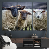 18418-MGV-CV-36X24-Sheep Wall Art Canvas Print, Framed Farmhouse Sheep Art Picture Print, Sheep Herd Perfect Rustic Farmhouse Decor Artwork
