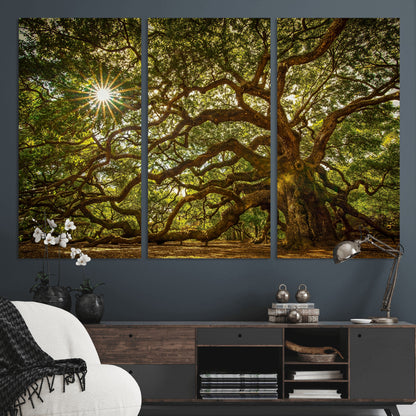 57983-MGV-CV-36X24-Angel Oak Tree Wall Art Canvas Print, Framed Oak Tree Art Picture Print, Angel Oak Perfect Rustic Nature Decor Artwork