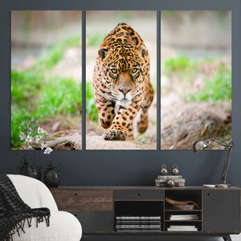 75066-MGV-CV-36X24-Leopard Wall Art Canvas Print, Framed Wild Animal Art Picture Print, Blue Eye Leopard Perfect Wild Minimal Decor Artwork
