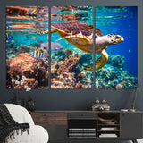66614-MGV-CV-36X24-Sea Turtle Wall Art – Hawksbill Turtle Swimming Over Coral Reef Canvas Print, Ocean Marine Life Decor for Beach House, Coastal
