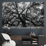 132944706-MGV-CV-36X24-Ancient Tree Wall Art – Black and White Photography Canvas Print Featuring Majestic Twisting Branches, Rustic Nature Artwork for