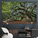 MGV-CV-48X32-3P - Historic Tree Wall Art Canvas Print, Framed Mossy Tree Art Picture Print, Twisted Branches Perfect Nature Southern Decor Artwork