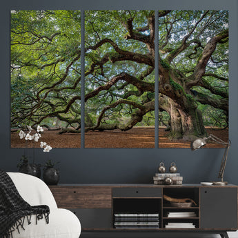 MGV-CV-48X32-3P - Historic Tree Wall Art Canvas Print, Framed Mossy Tree Art Picture Print, Twisted Branches Perfect Nature Southern Decor Artwork