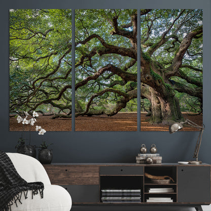 MGV-CV-48X32-3P - Historic Tree Wall Art Canvas Print, Framed Mossy Tree Art Picture Print, Twisted Branches Perfect Nature Southern Decor Artwork