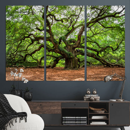 51255351-MGV-CV-36X24-Ancient Tree Wall Art – Majestic Oak Canvas Print, Large Nature Photography, Sacred Forest Landscape Wall Décor, Wisdom Tree