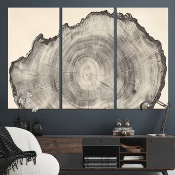 98921313-MGV-CV-36X24-Tree Ring Wall Art Canvas Print, Framed Wood Slice Art Picture Print, Minimalist Wood Perfect Rustic Academic Decor Artwork
