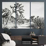 88164251-MGV-CV-36X24-Joshua Tree Wall Art Canvas Print, Framed Desert Path Art Picture Print, Monochrome Desert Perfect Minimalist Desert Decor Artwork
