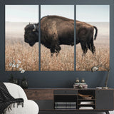 34451925-MGV-CV-36X24-Rustic Bison Decor Wall Art Canvas Print, Framed Buffalo Home Accent Art Picture Print, Prairie Wildlife Scene Perfect Western