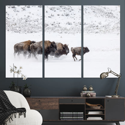 56216945-MGV-CV-36X24-Bison Herd Decor Wall Art Canvas Print, Framed Snowy Bison Scene Art Picture Print, Winter Wildlife Theme Perfect Rustic Western