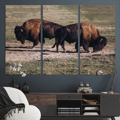 58141885-MGV-CV-48X32-3P-Bison Photography Wall Art Canvas Print, Framed Western Wildlife Art Picture Print, Modern Ranch Perfect Western Rustic Decor