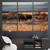 39509187-MGV-CV-48X32-3P-Western Wildlife Wall Art Canvas Print, Framed Bison Art Picture Print, Golden Hour Perfect Western Rustic Decor Artwork