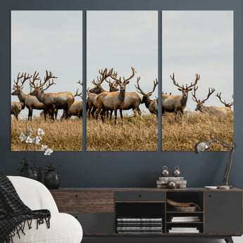 42170220-MGV-CV-36X24-Elk Herd Wall Art Canvas Print, Framed Wildlife Photography Art Picture Print, Majestic Antlers Perfect Rustic Wildlife Decor