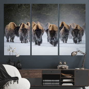 30332489-MGV-CV-36X24-Winter Bison Herd Wall Art – Powerful Buffalo Canvas Print, Rustic Wildlife Photography Decor for Farmhouse, Cabin, Lodge, Living