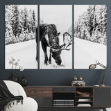 38956835-MGV-CV-36X24-Moose Winter Snowy Forest Canvas Wall Art – Wildlife Nature, Antlers in Frozen Landscape, Quiet Path, Cold Season Outdoors Print