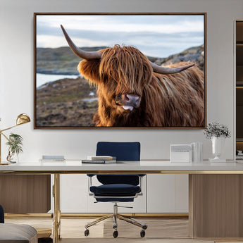 71222-MGV-CV-36X24-A playful Highland cow with shaggy fur sticks out its tongue, set against a rugged landscape — perfect for quirky home or office