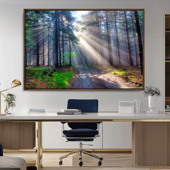 42047-MGV-CV-36X24-Sunlit Forest Path Wall Art – Nature Canvas Print, Serene Woodland Landscape, Perfect Home & Office Decor for Calm and Tranquil