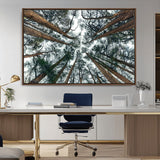 18790-MGV-CV-36X24-Pine Canopy Wall Art – Panoramic View of Towering Pines Canvas Print, Nature-Inspired Decor for Office, Cabin or Living Room